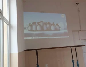 cd76a84c-d123-43d3-ba77-5cddaa6a614b