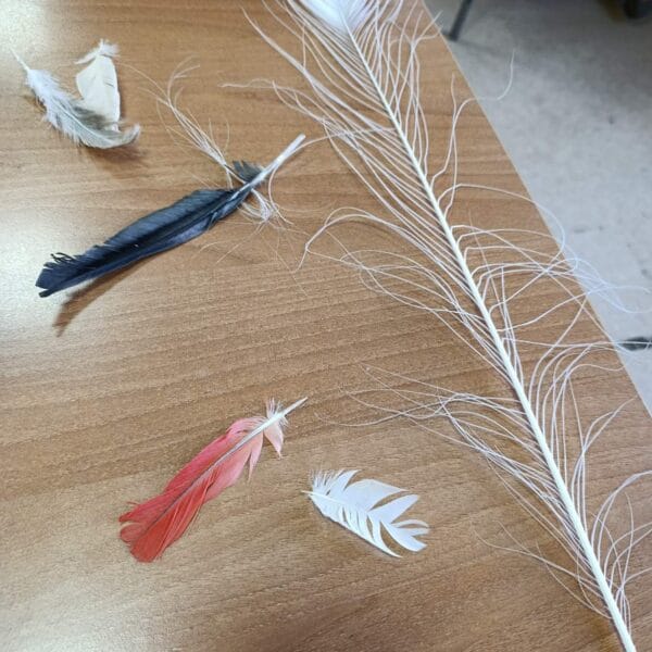 Осми разред: вежба